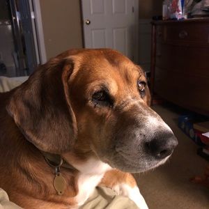 Meet your Posher, Sue